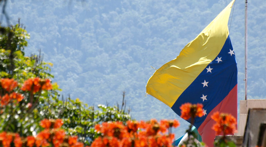bandera venezuela paisaje